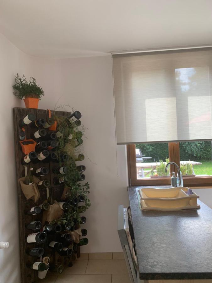 Ferienwohnung Les Hirondelles Wintzenheim Exterior foto